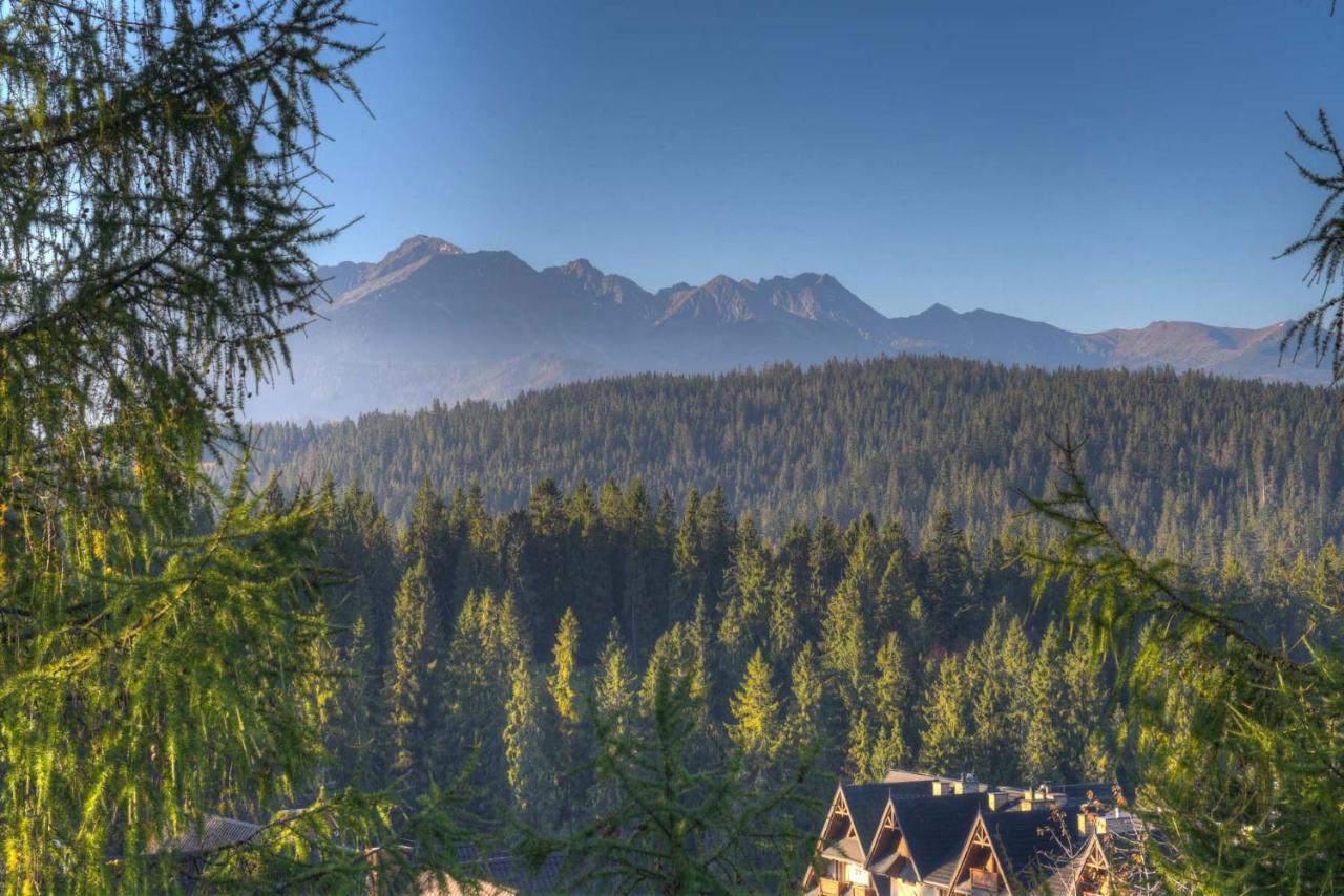 Rysy Hotel Bukowina Tatrzanska Luaran gambar